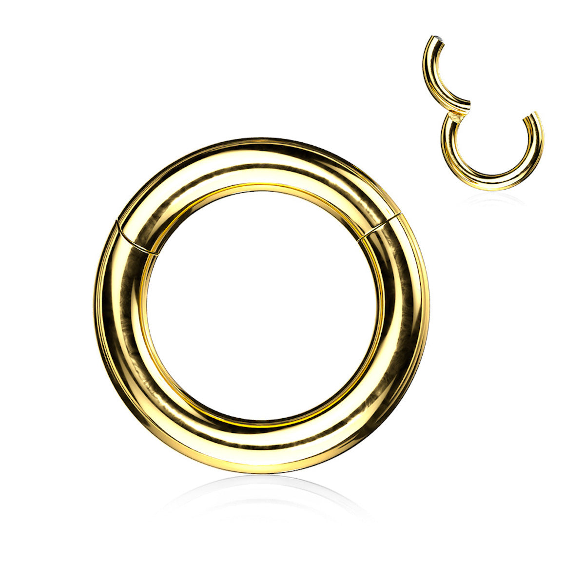 2GA Segment Ring with Clicker Hinge for Piercings