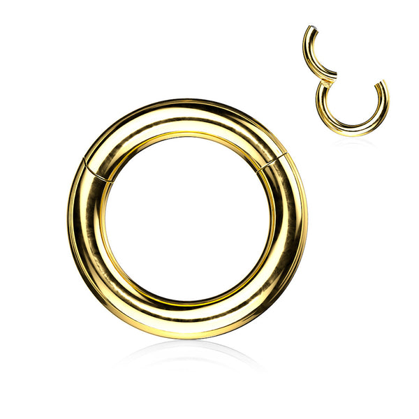 2GA Segment Ring with Clicker Hinge for Piercings