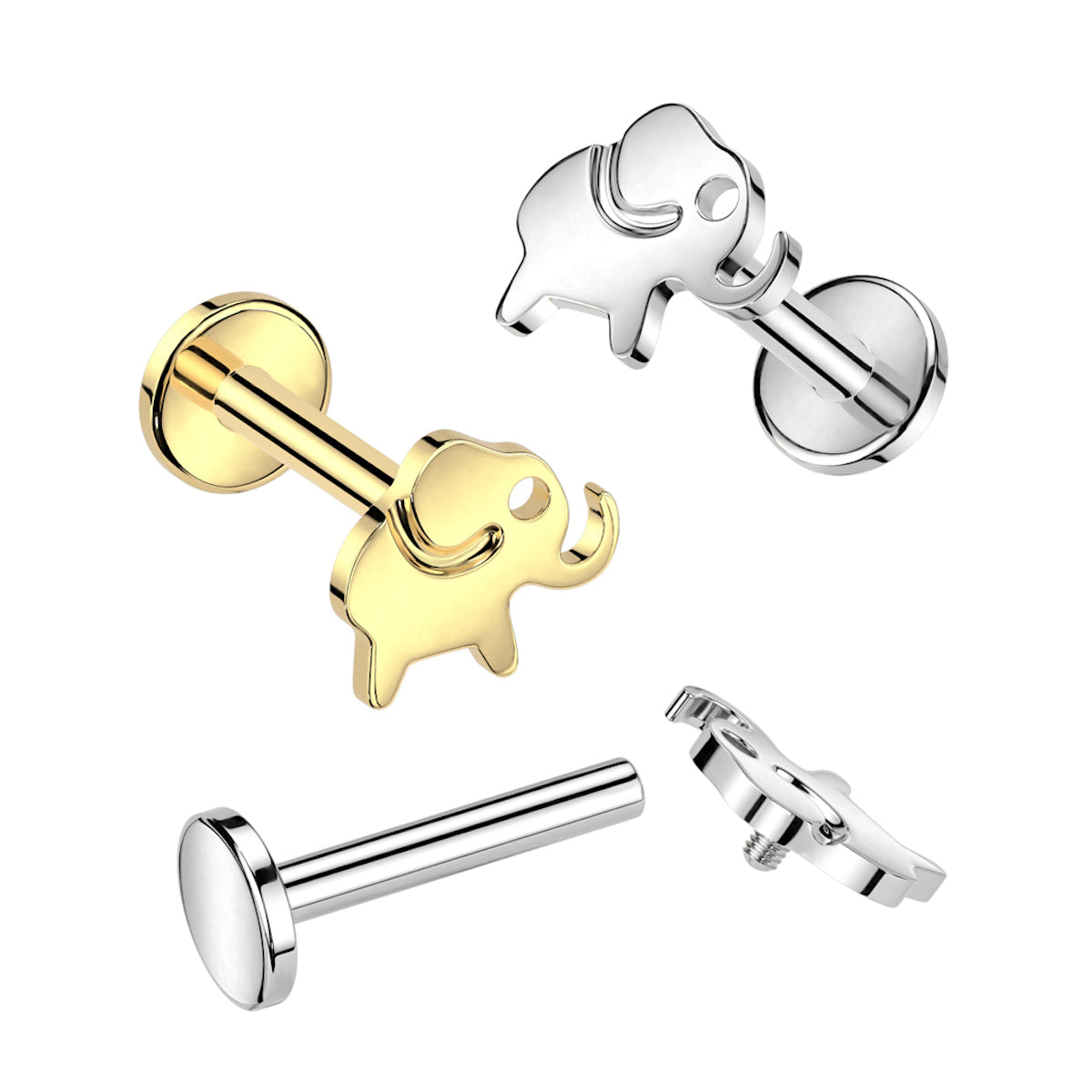 Titanium Elephant Labret 16GA, 6/8mm - Gold/Silver