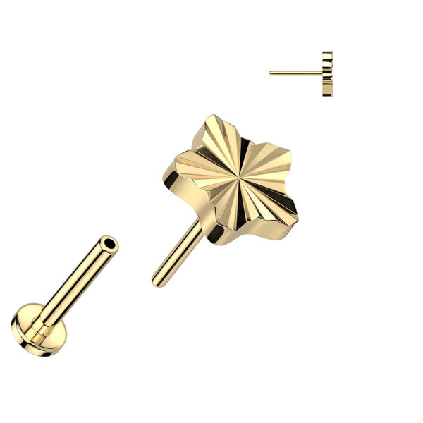 Titanium Star Labret - Threadless, 16GA, 6-8mm, Assorted Colors